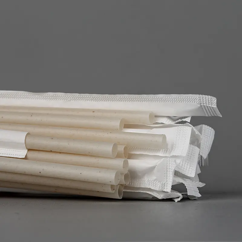 Bagasse Straws 3