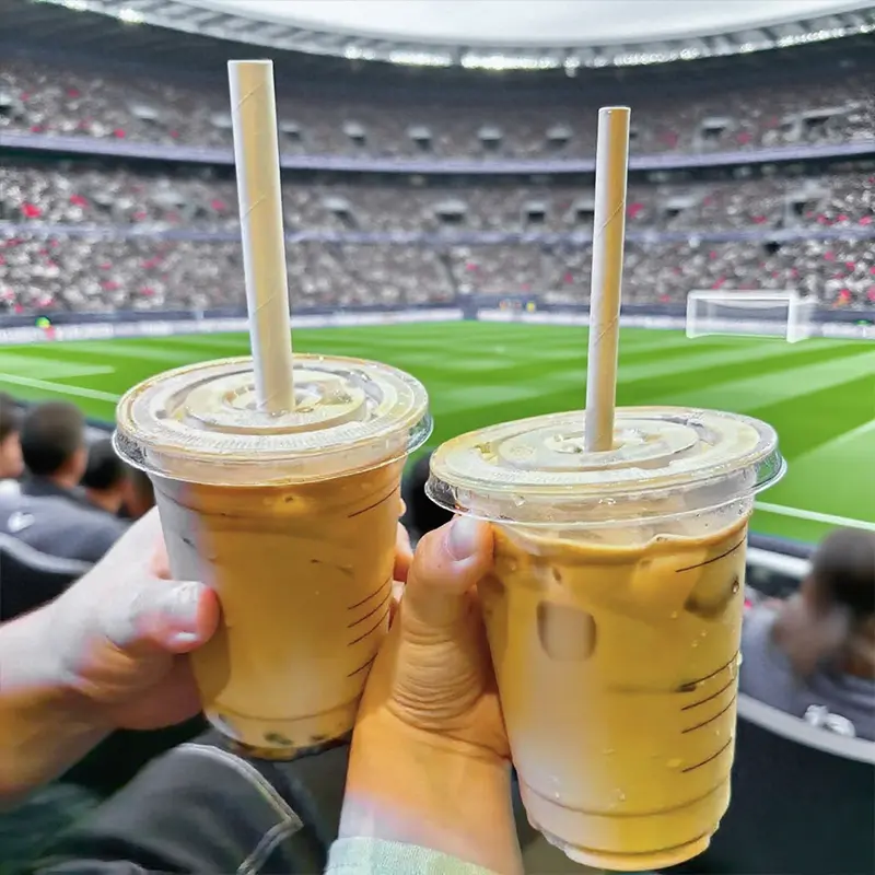 kraft paper straws.jpg