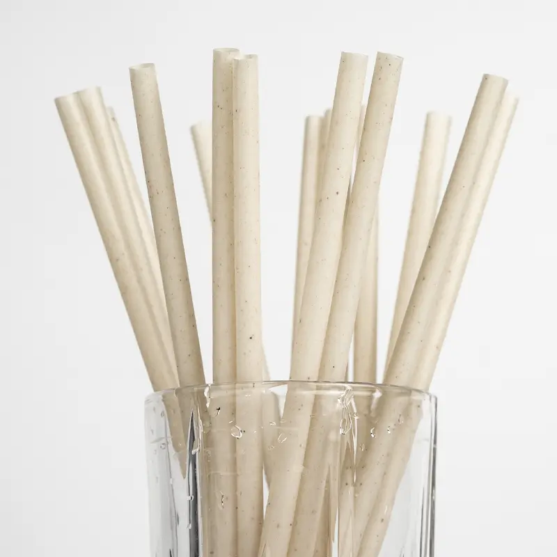 Eco Friendly  Individually Wrapped Plant Fiber Straws Bamboo Straws