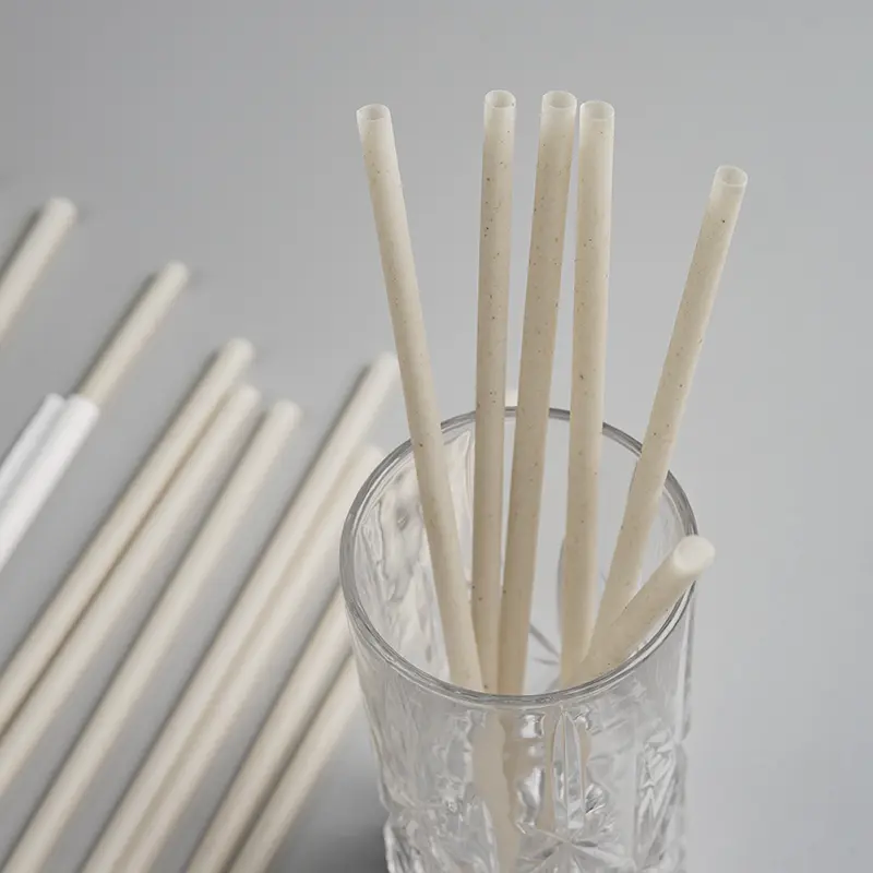 Plant Fiber Straws Bamboo Straws 3