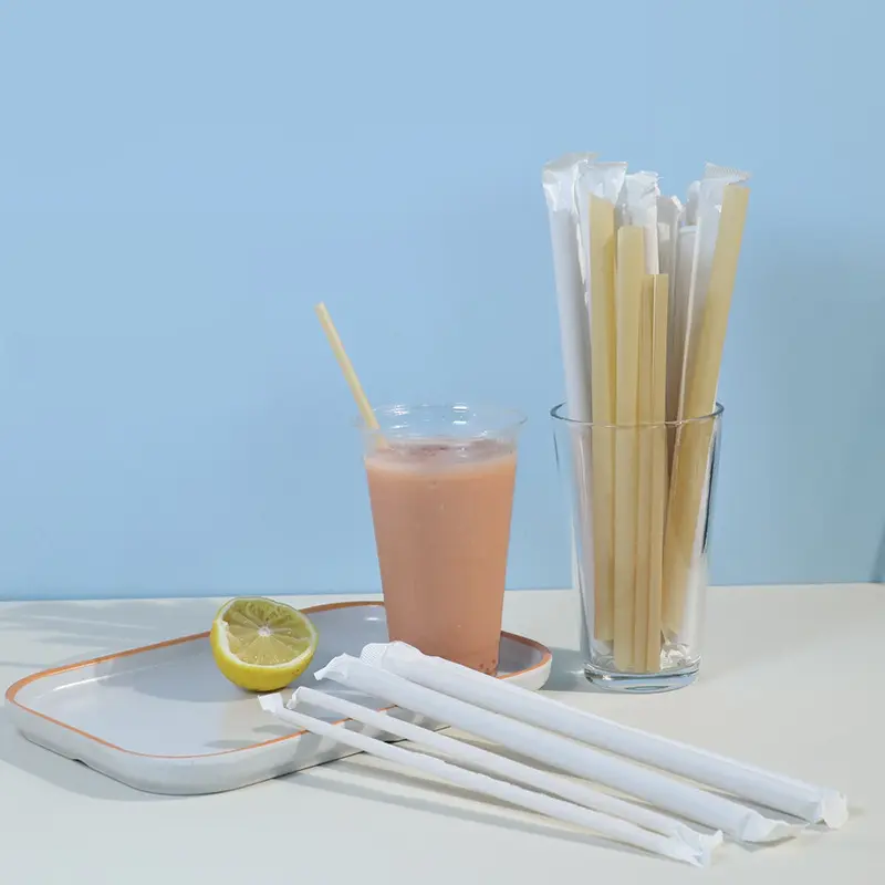 Bagasse Straws 4