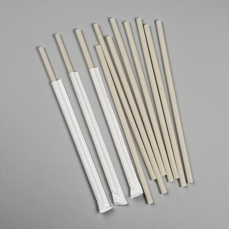 Bagasse Straws2
