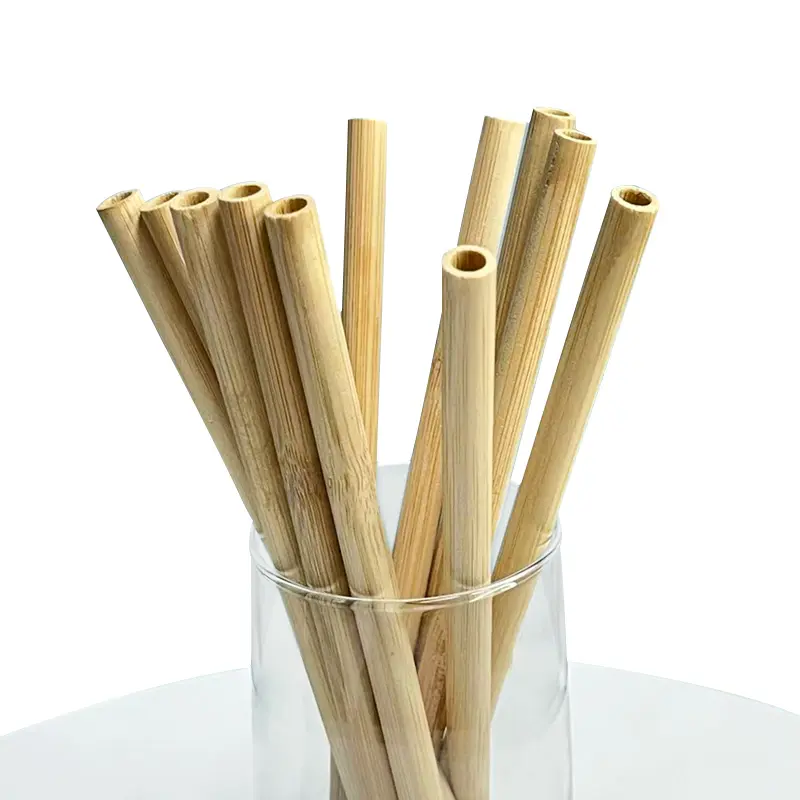 Bamboo Straw4