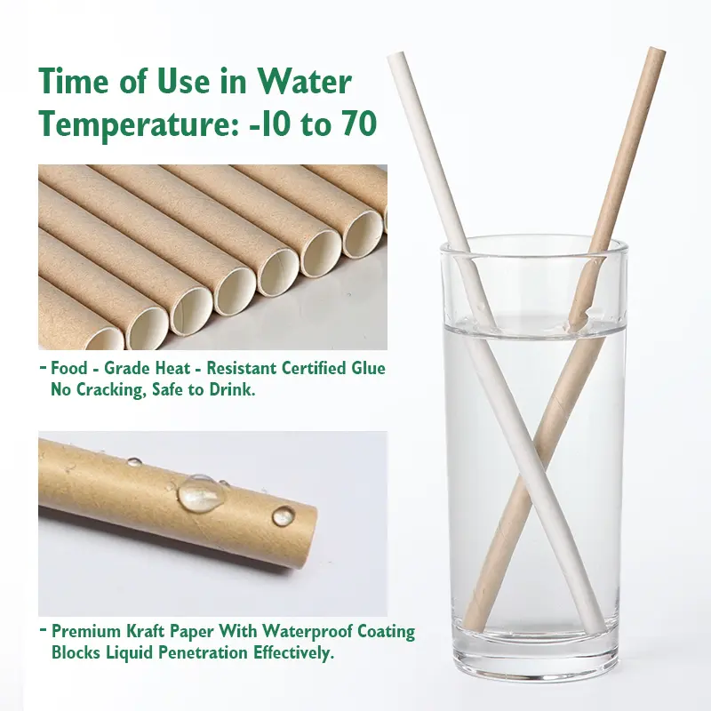 kraft paper straws back.jpg