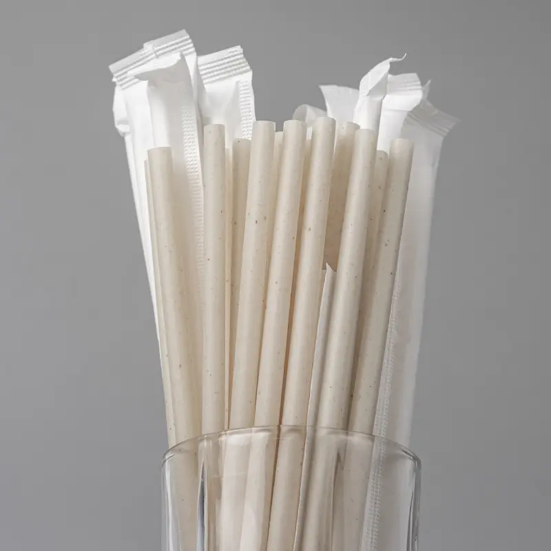 Individually Wrapped Bagasse Straws  Sugarcane Straw
